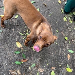 Meet your Posher, Sylvia